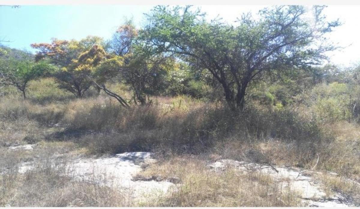 Picture of Residential Land For Sale in Jojutla, Morelos, Mexico