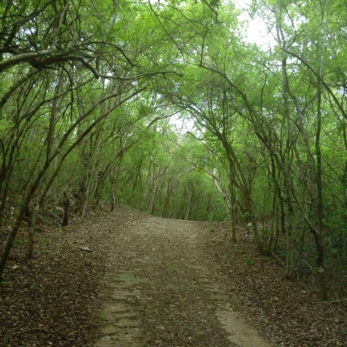 Picture of Residential Land For Sale in Sudzal, Yucatan, Mexico