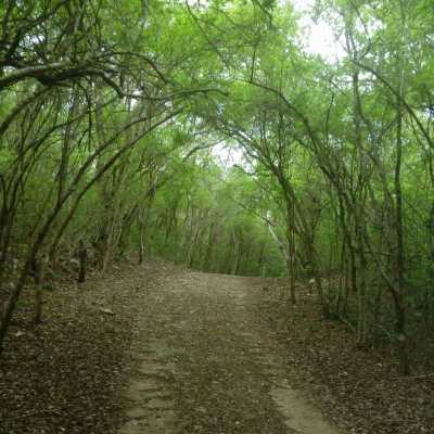 Residential Land For Sale in Sudzal, Mexico