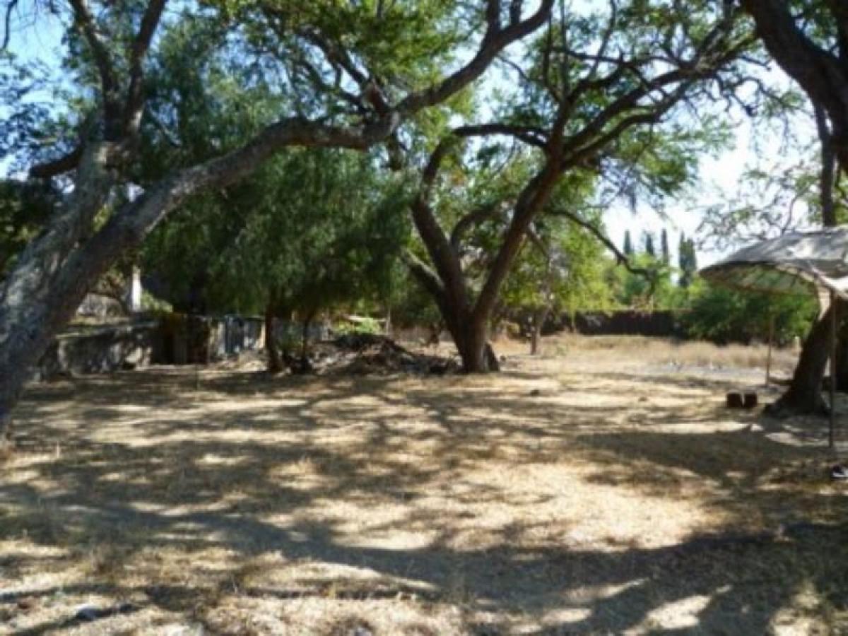 Picture of Residential Land For Sale in Chapala, Jalisco, Mexico