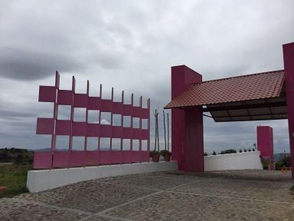 Picture of Development Site For Sale in Hidalgo, Hidalgo, Mexico