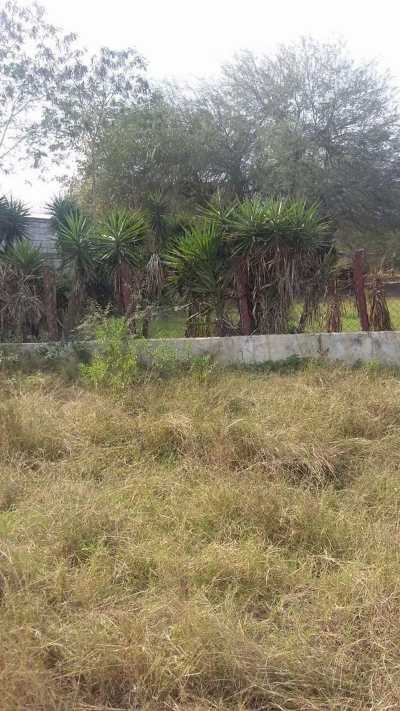 Residential Land For Sale in Lerdo, Mexico