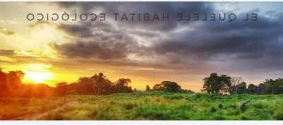 Home For Sale in Bahia De Banderas, Mexico