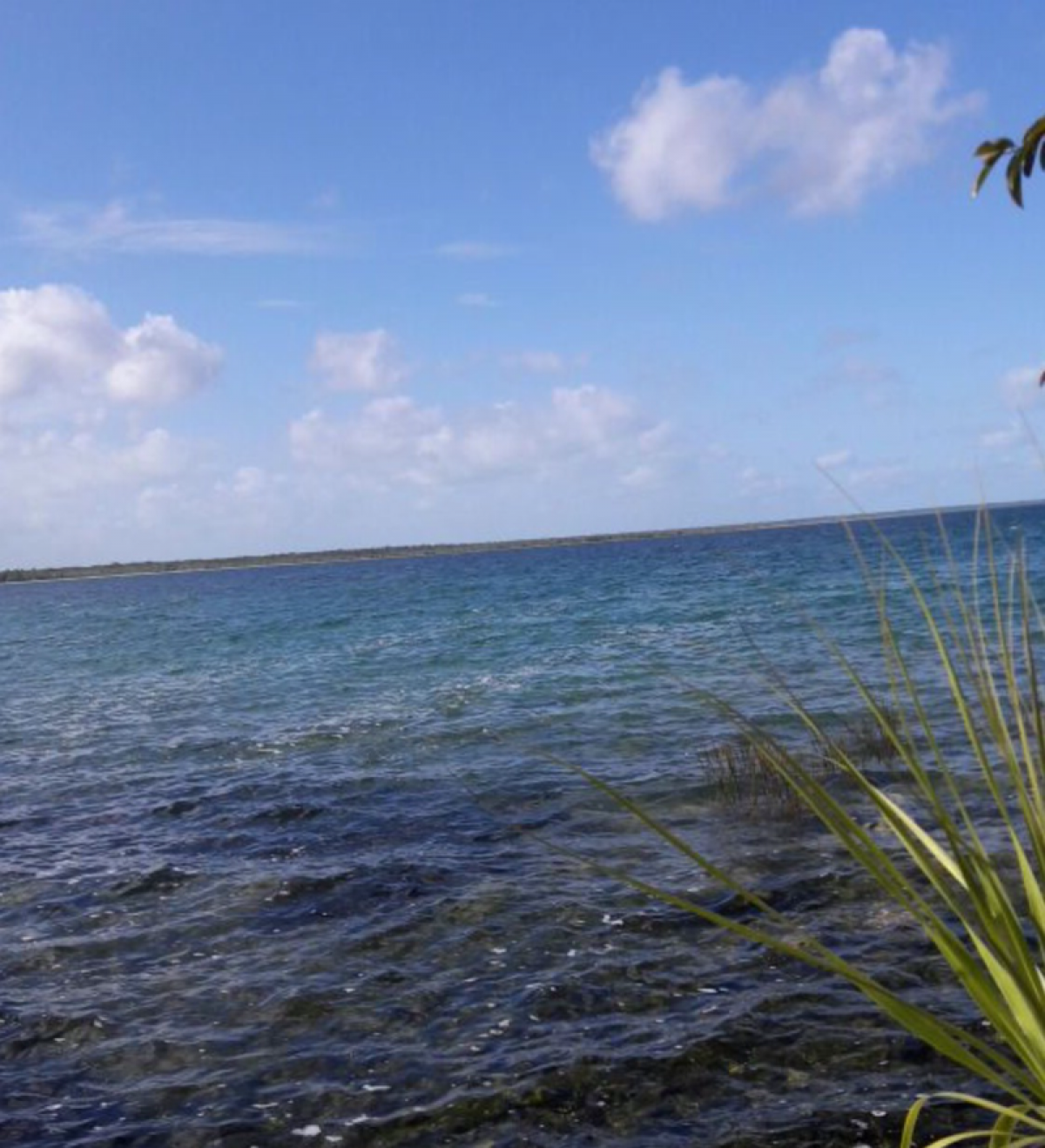 Picture of Home For Sale in Othon P. Blanco, Quintana Roo, Mexico