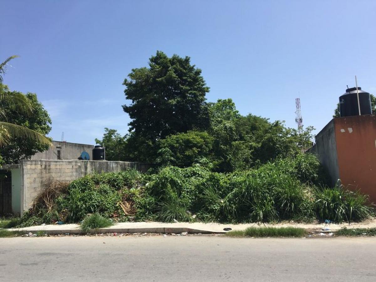 Picture of Residential Land For Sale in Quintana Roo, Quintana Roo, Mexico