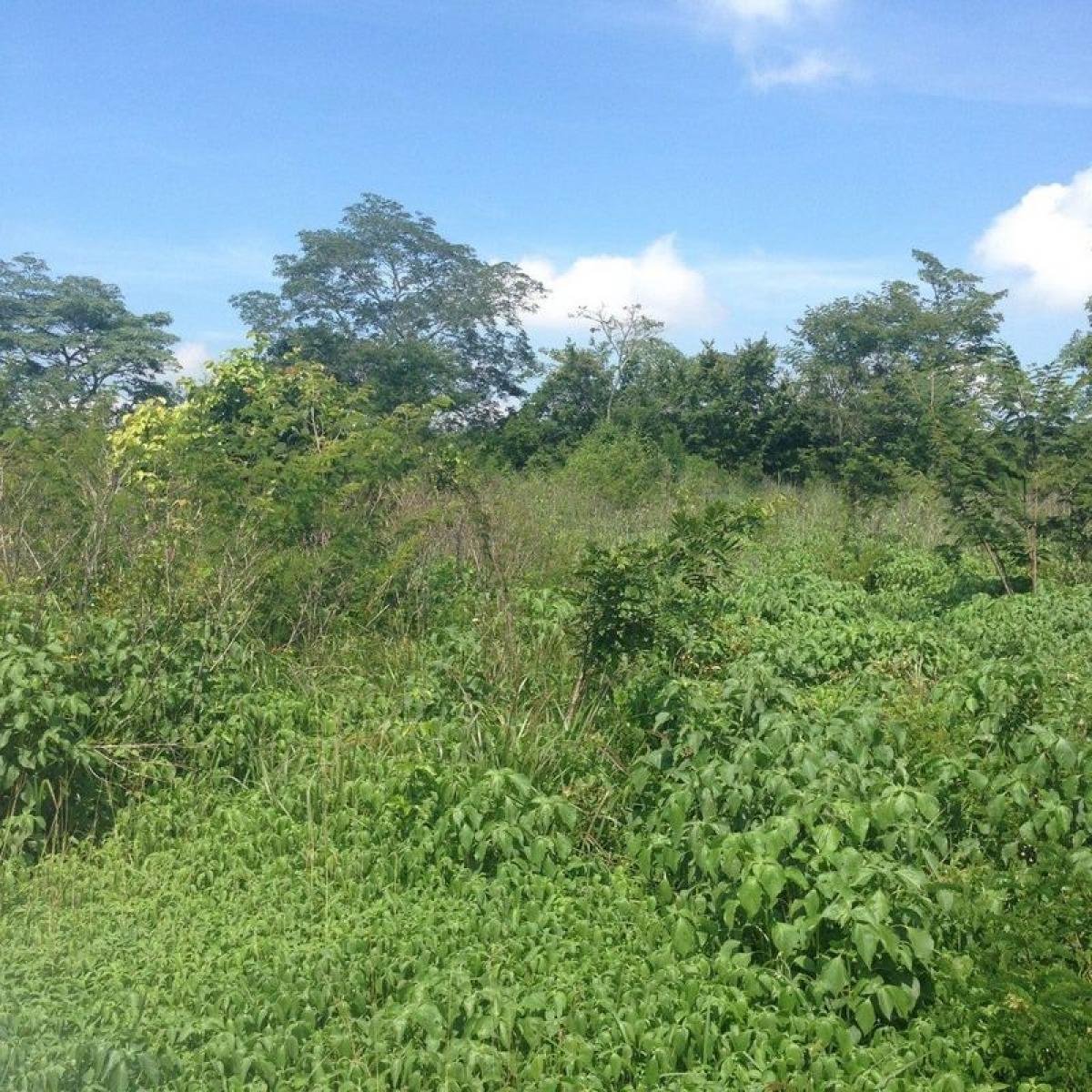 Picture of Residential Land For Sale in Motozintla, Chiapas, Mexico