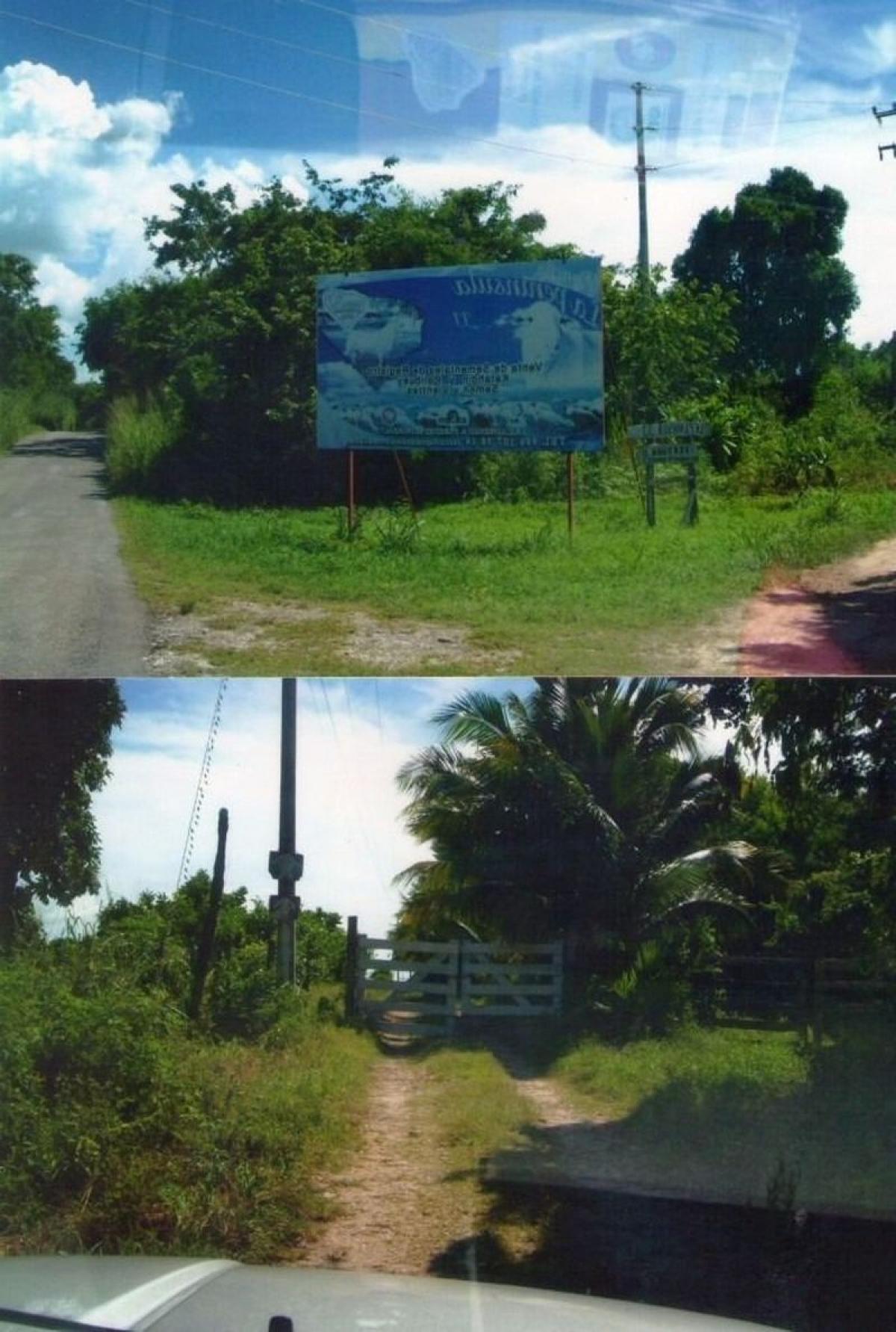 Picture of Development Site For Sale in Sucila, Yucatan, Mexico