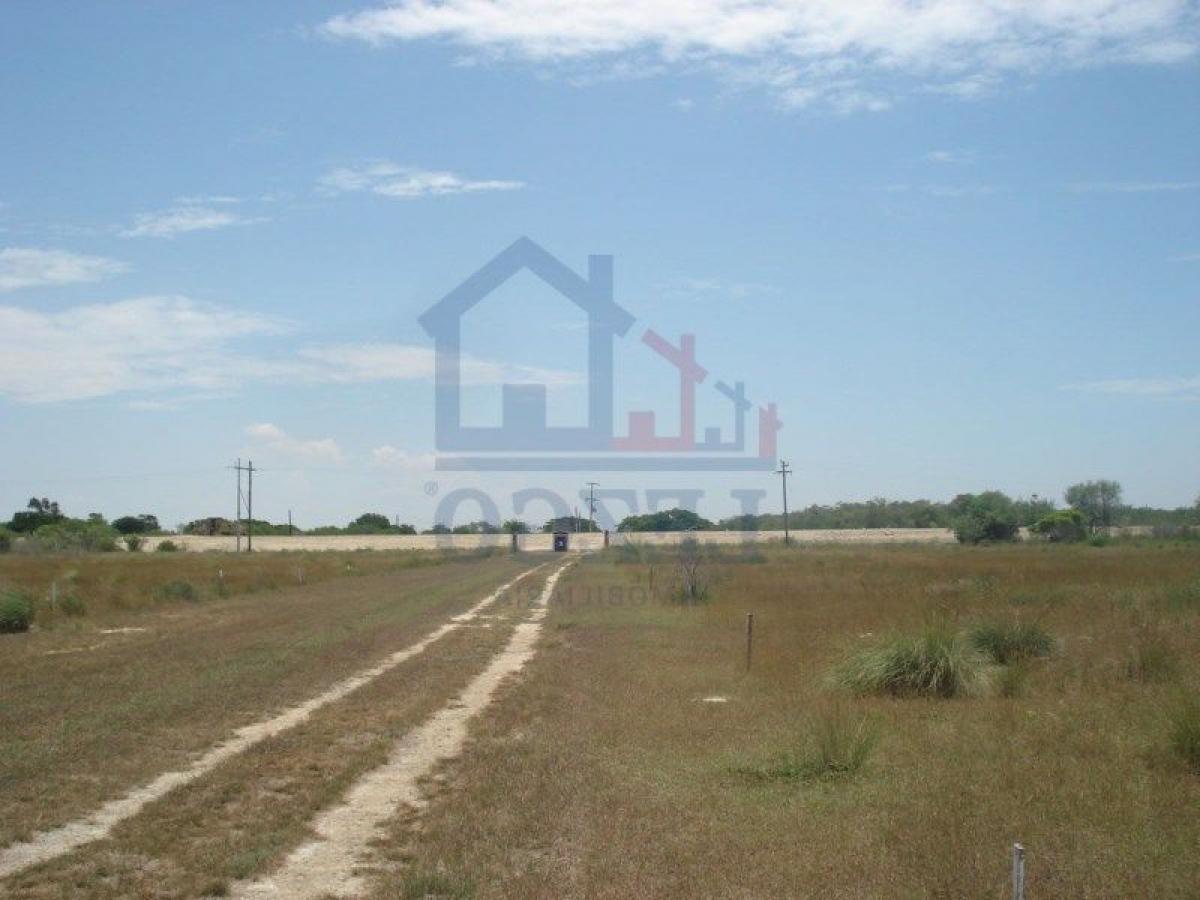 Picture of Residential Land For Sale in Soto La Marina, Tamaulipas, Mexico