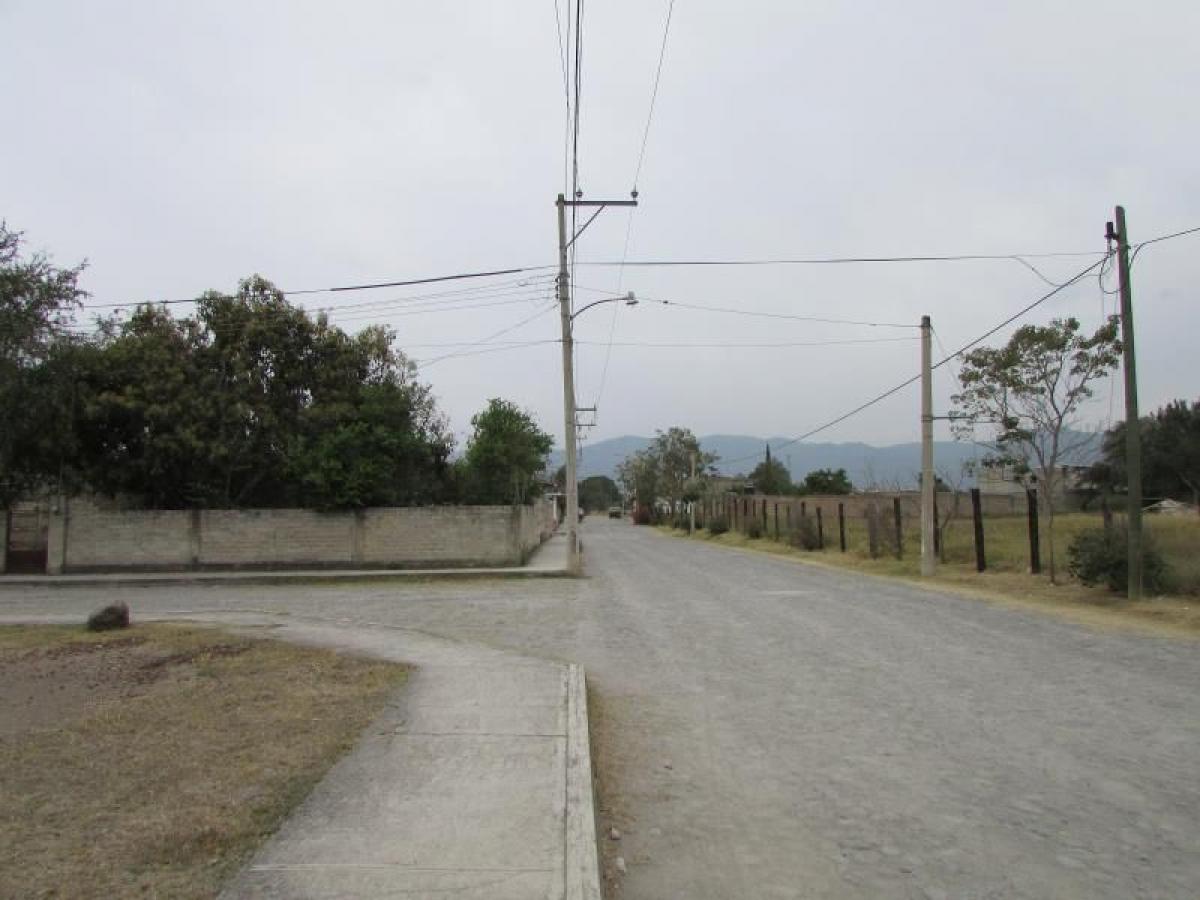 Picture of Residential Land For Sale in Zapotiltic, Jalisco, Mexico