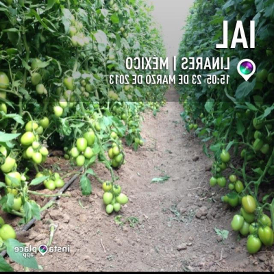 Residential Land For Sale in Linares, Mexico