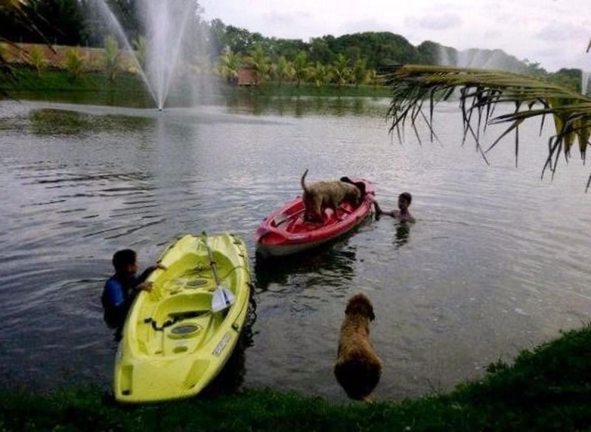 Picture of Development Site For Sale in Veracruz De Ignacio De La Llave, Veracruz, Mexico