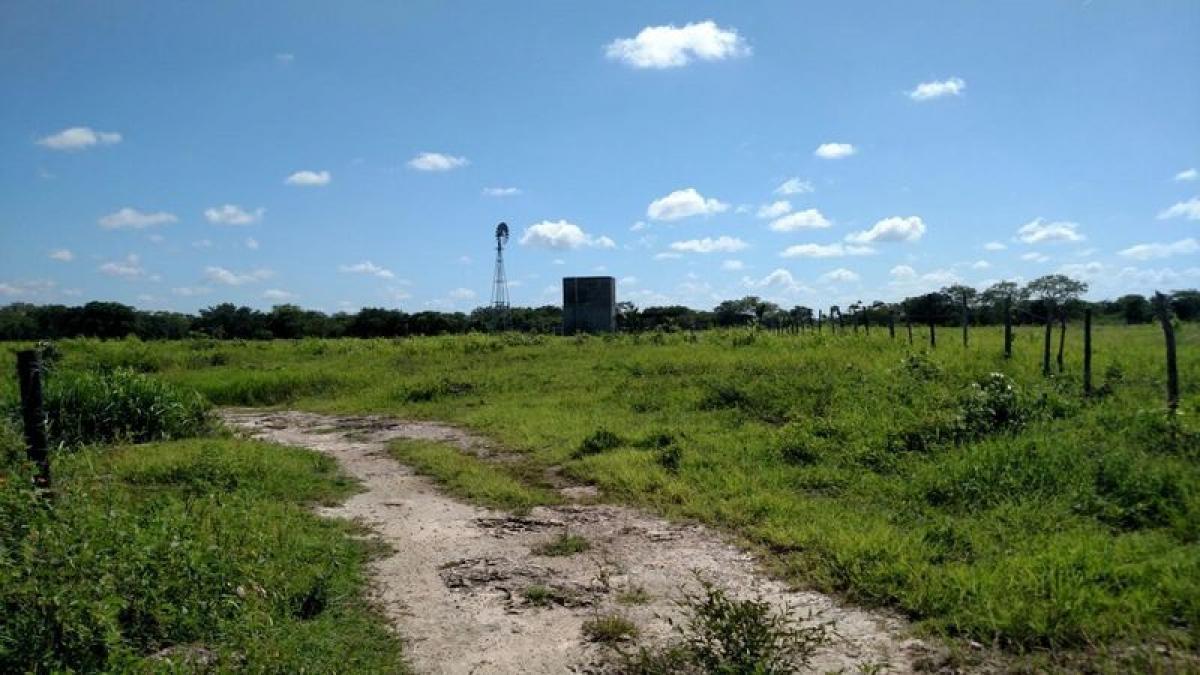 Picture of Development Site For Sale in Dzilam De Bravo, Yucatan, Mexico