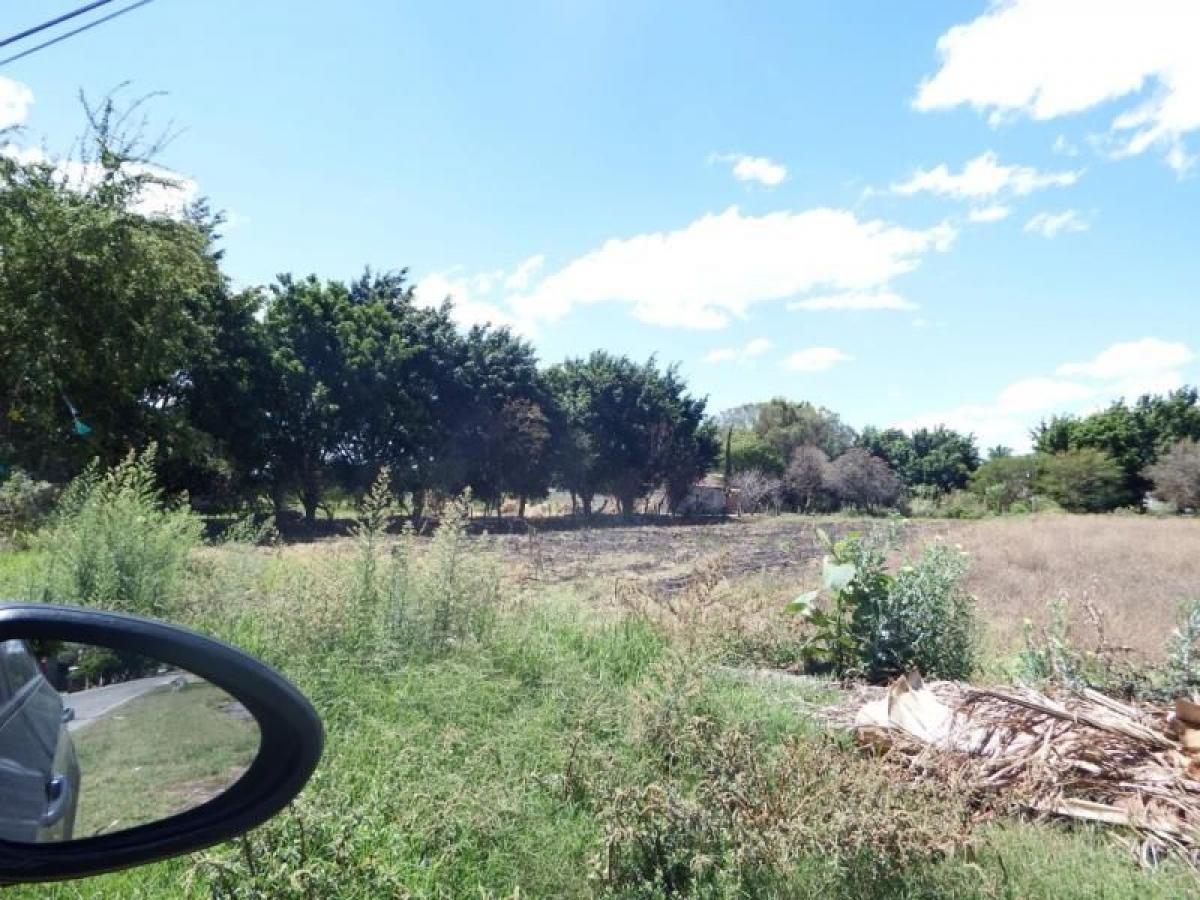 Picture of Residential Land For Sale in Yautepec, Morelos, Mexico