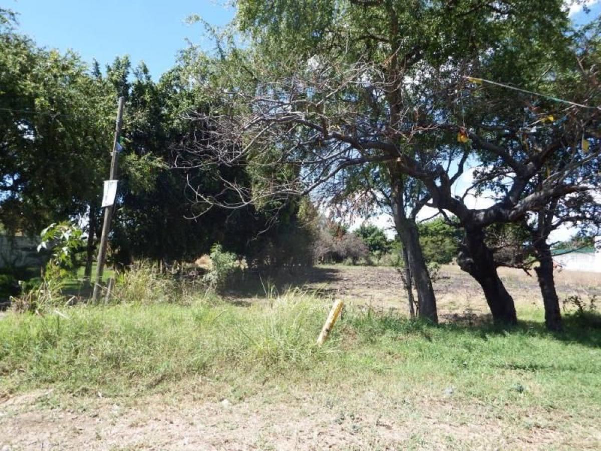 Picture of Residential Land For Sale in Yautepec, Morelos, Mexico
