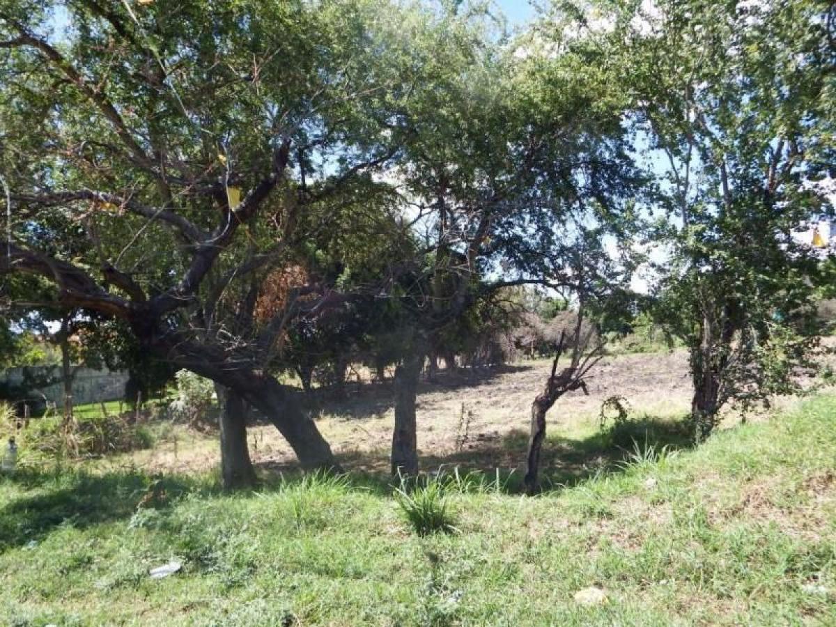 Picture of Residential Land For Sale in Yautepec, Morelos, Mexico