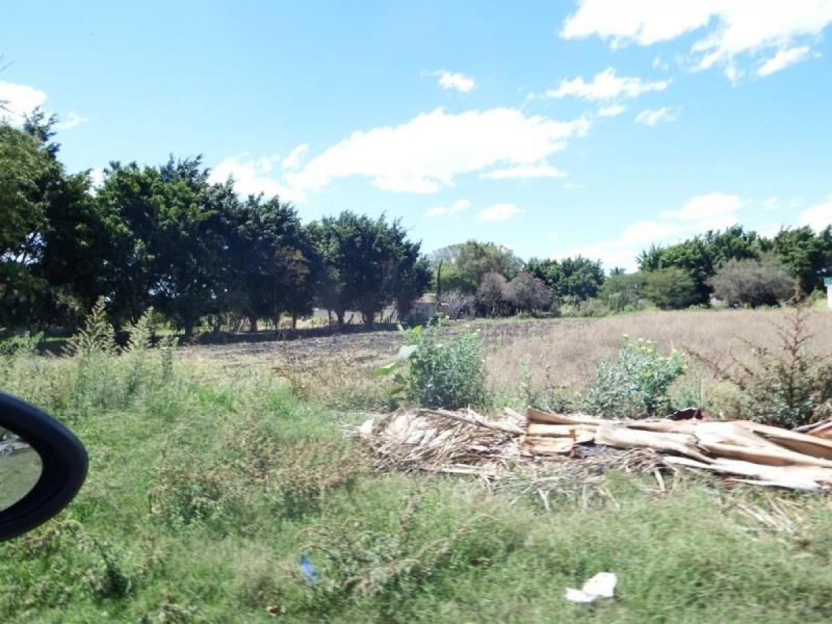 Picture of Residential Land For Sale in Yautepec, Morelos, Mexico