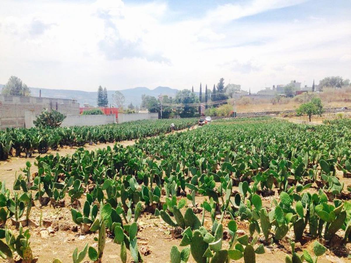 Picture of Residential Land For Sale in Distrito Federal, Mexico City, Mexico