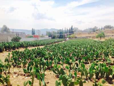 Residential Land For Sale in Distrito Federal, Mexico