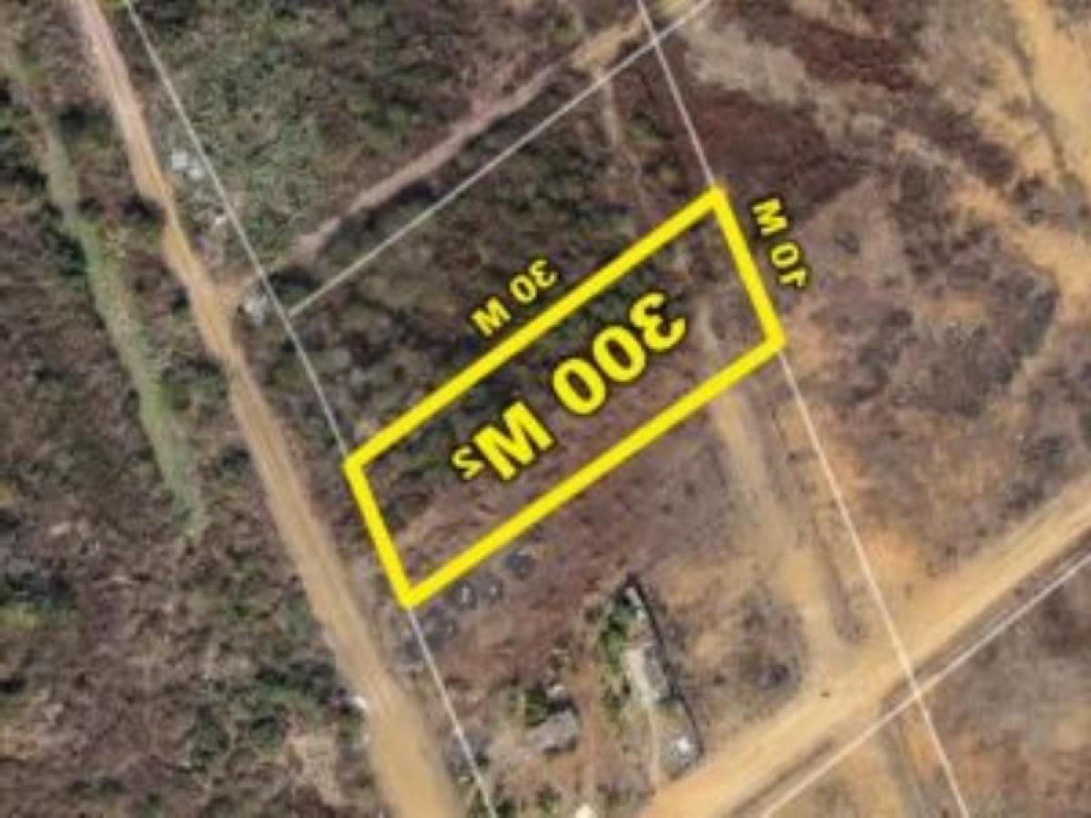 Picture of Residential Land For Sale in Sinaloa, Sinaloa, Mexico