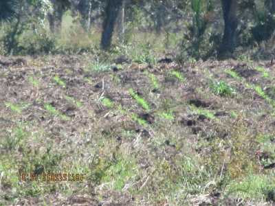 Development Site For Sale in Tijuana, Mexico