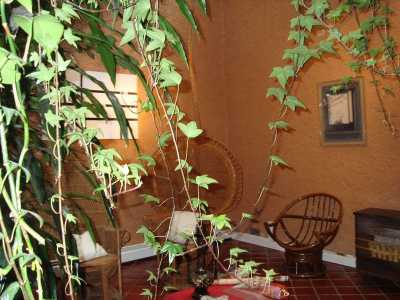 Home For Sale in Cuajimalpa De Morelos, Mexico