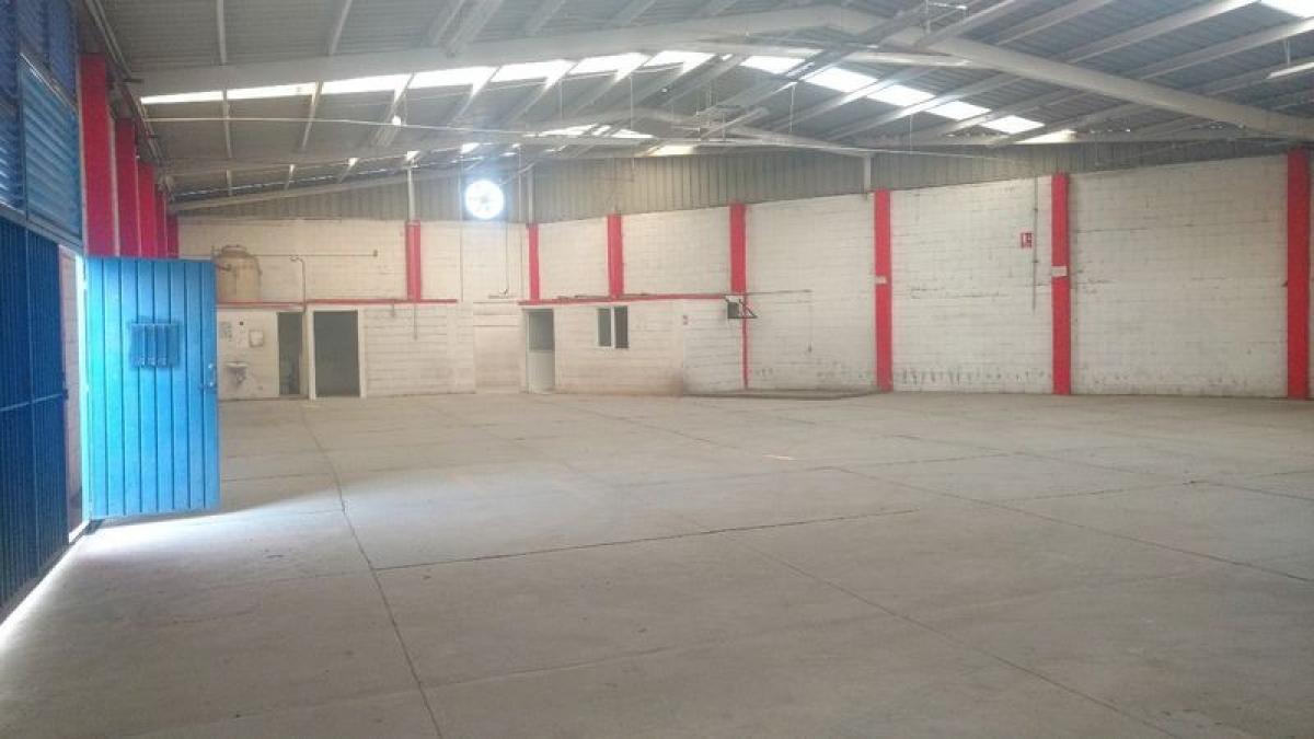 Picture of Penthouse For Sale in Morelos, Morelos, Mexico