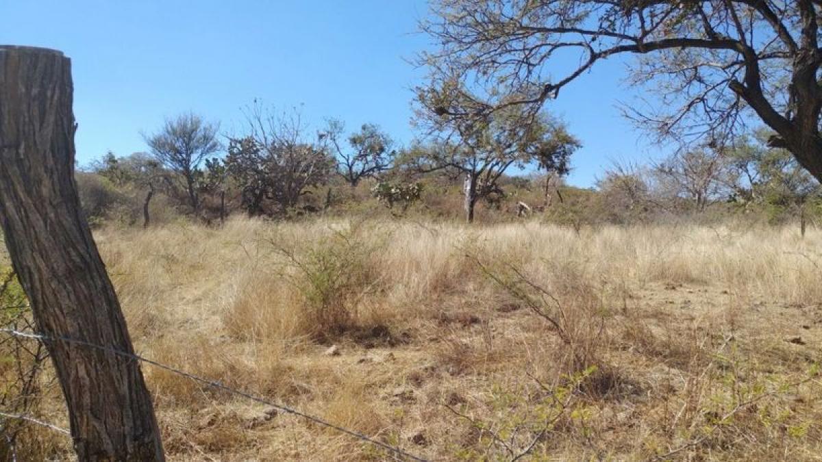 Picture of Residential Land For Sale in Guanajuato, Guanajuato, Mexico