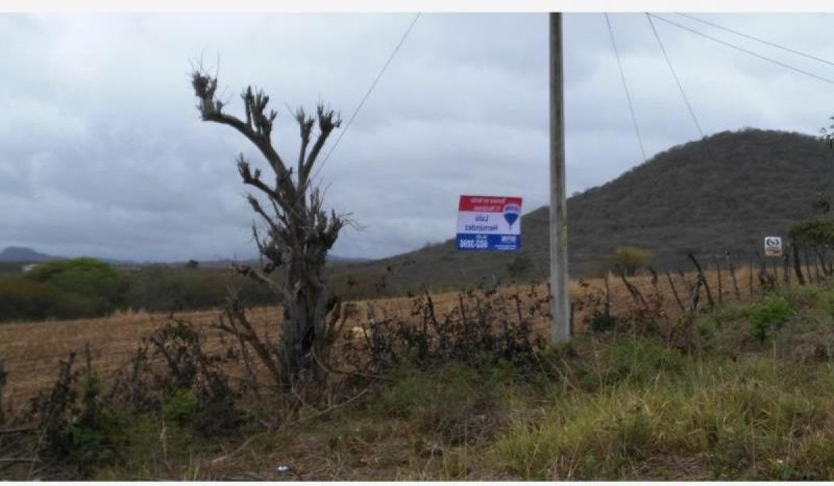 Picture of Residential Land For Sale in Cintalapa, Chiapas, Mexico