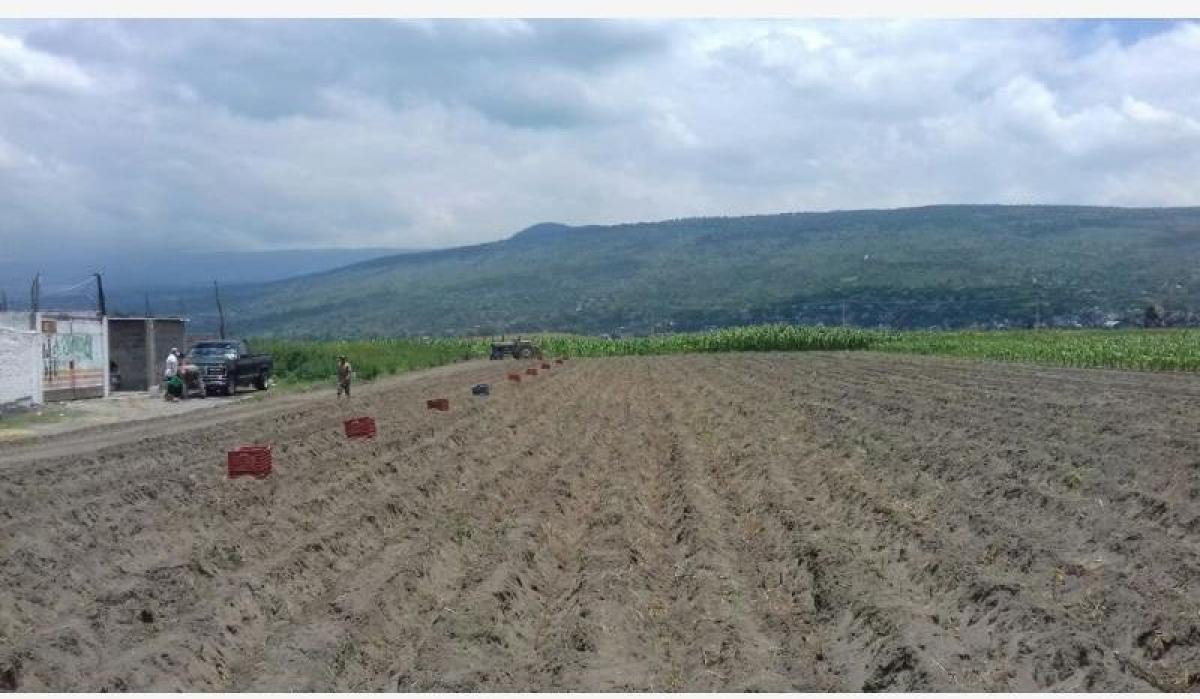 Picture of Residential Land For Sale in Chalco, Mexico, Mexico