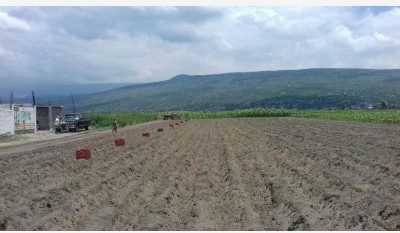 Residential Land For Sale in Chalco, Mexico