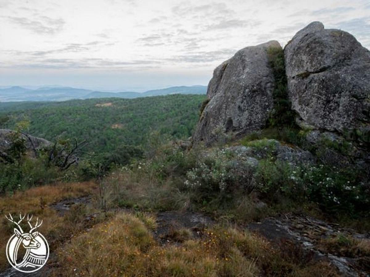 Picture of Development Site For Sale in Tapalpa, Jalisco, Mexico