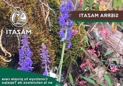 Development Site For Sale in Tapalpa, Mexico