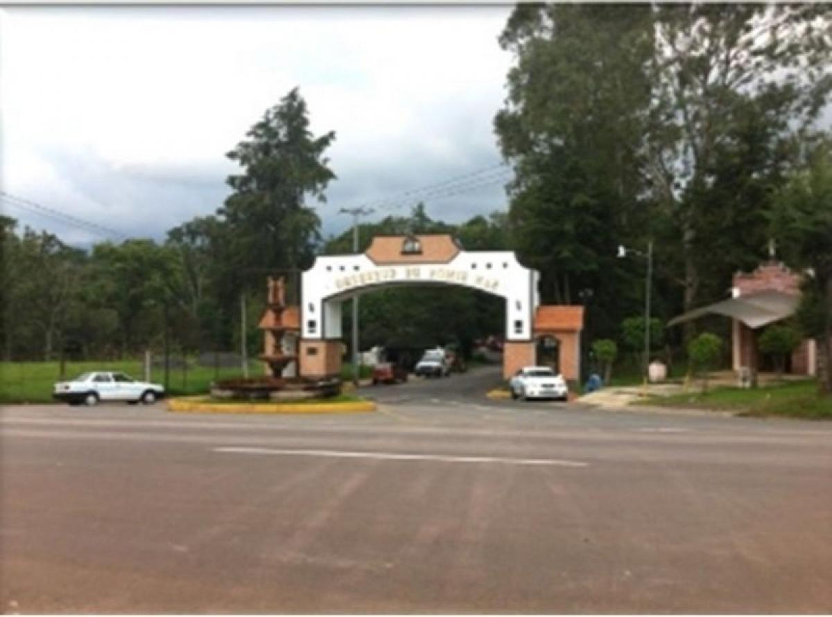 Picture of Residential Land For Sale in San Simon De Guerrero, Mexico, Mexico