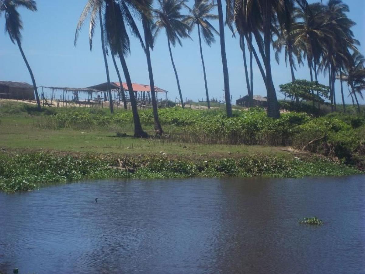 Picture of Residential Land For Sale in Florencio Villarreal, Guerrero, Mexico