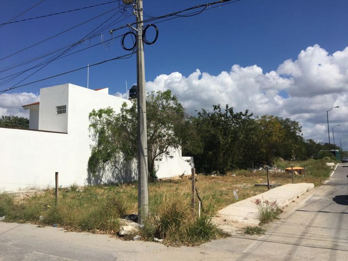 Picture of Residential Land For Sale in Quintana Roo, Quintana Roo, Mexico