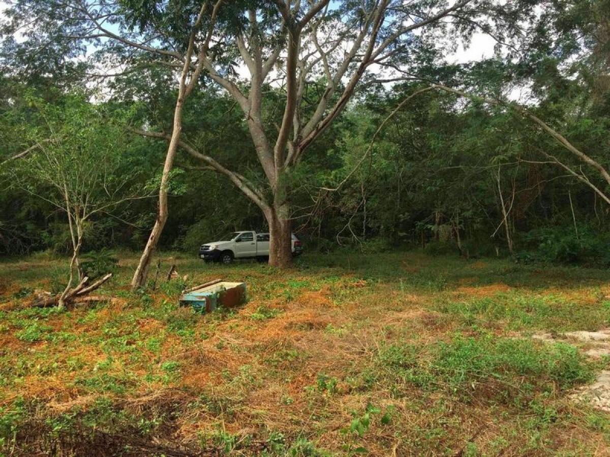 Picture of Development Site For Sale in Sotuta, Yucatan, Mexico