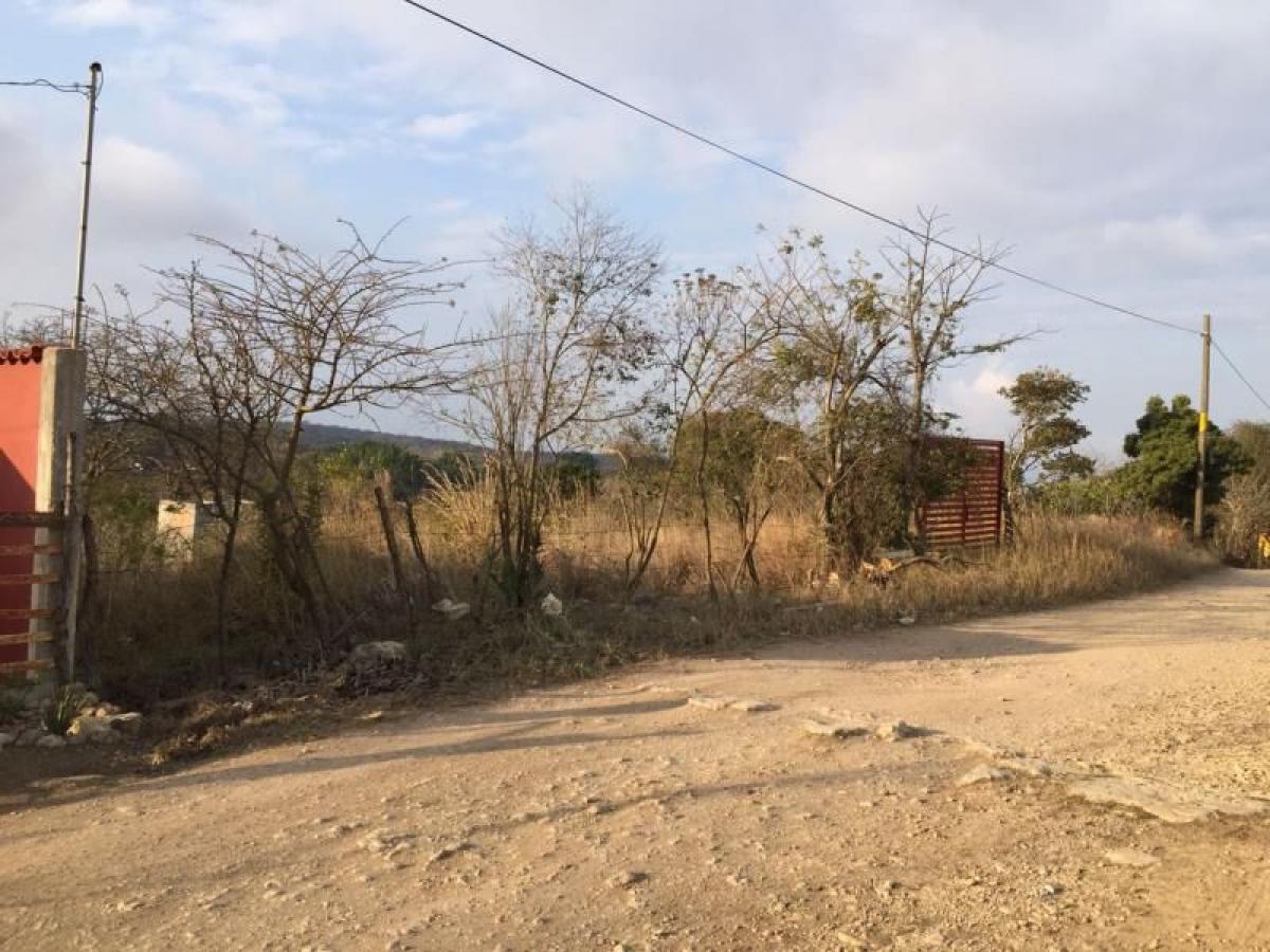 Picture of Residential Land For Sale in Berriozabal, Chiapas, Mexico