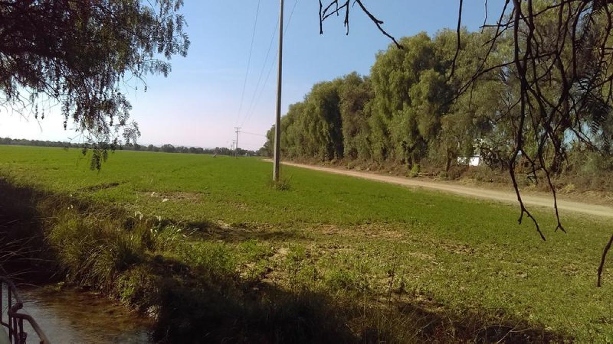 Picture of Home For Sale in Dolores Hidalgo Cuna De La Independencia Nacional, Guanajuato, Mexico