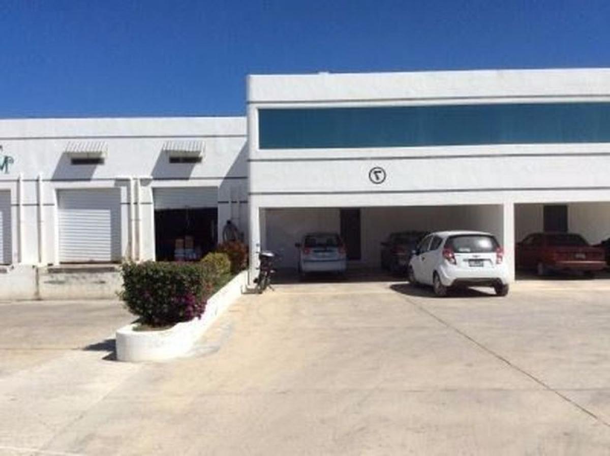 Picture of Penthouse For Sale in Merida, Yucatan, Mexico