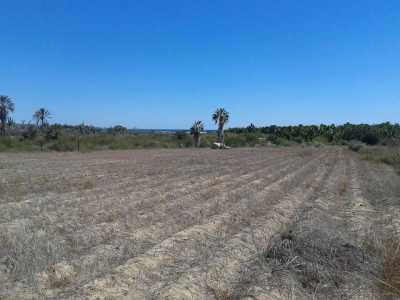 Residential Land For Sale in La Paz, Mexico