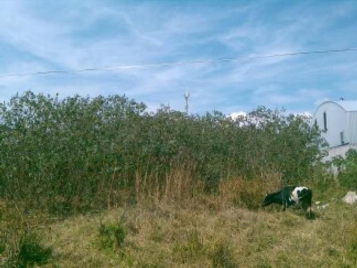 Picture of Residential Land For Sale in Jiquipilas, Chiapas, Mexico