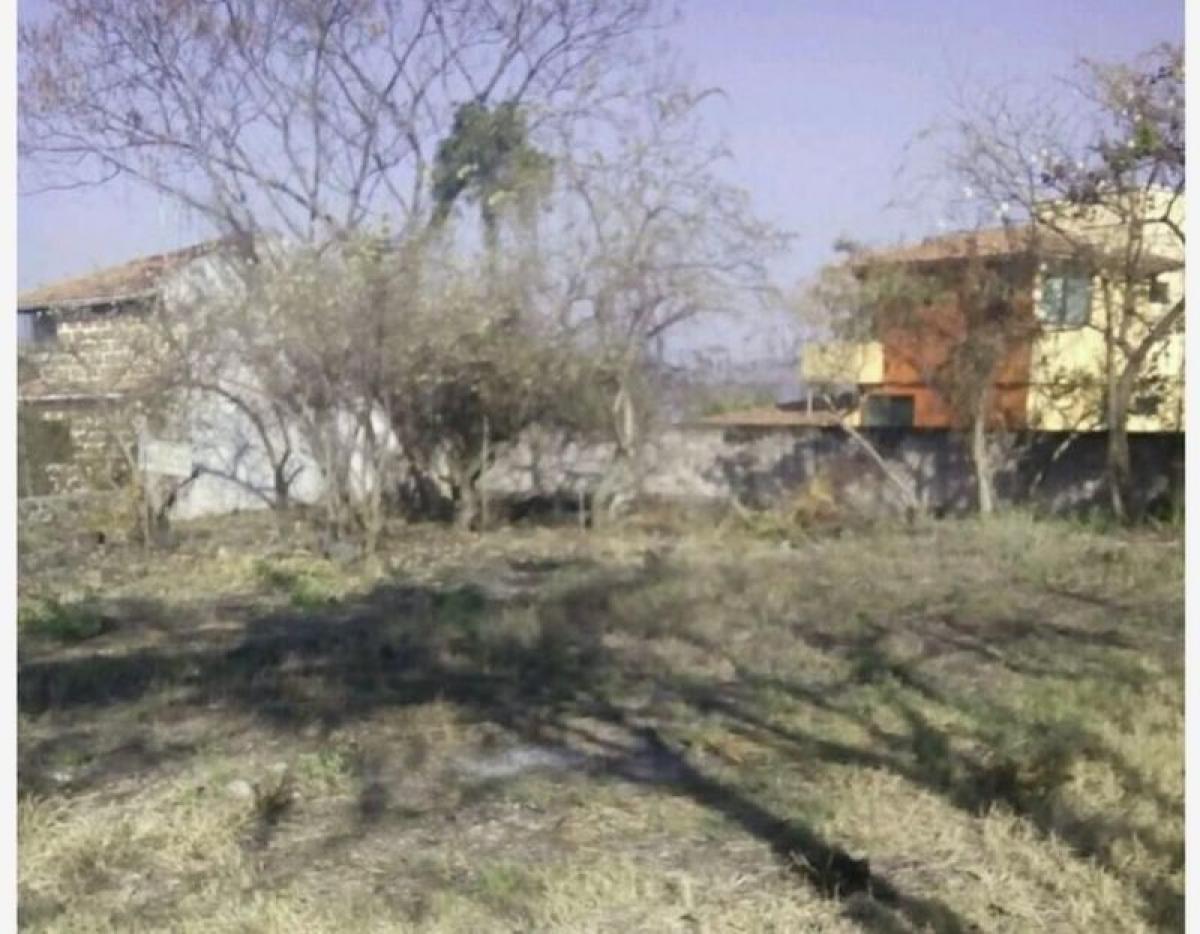 Picture of Residential Land For Sale in Tlayacapan, Morelos, Mexico