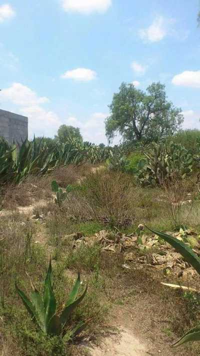 Residential Land For Sale in Ixmiquilpan, Mexico