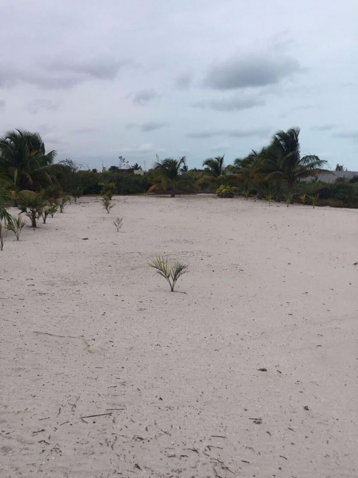 Picture of Residential Land For Sale in Dzemul, Yucatan, Mexico