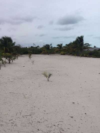 Residential Land For Sale in Dzemul, Mexico