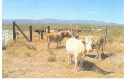 Development Site For Sale in 