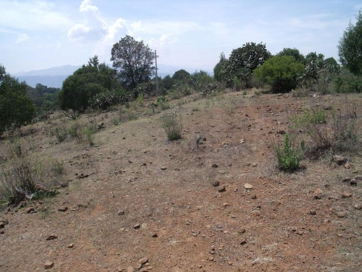 Picture of Residential Land For Sale in Huasca De Ocampo, Hidalgo, Mexico
