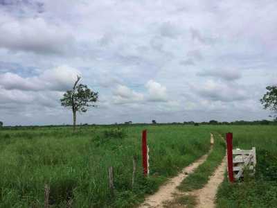 Development Site For Sale in Panaba, Mexico