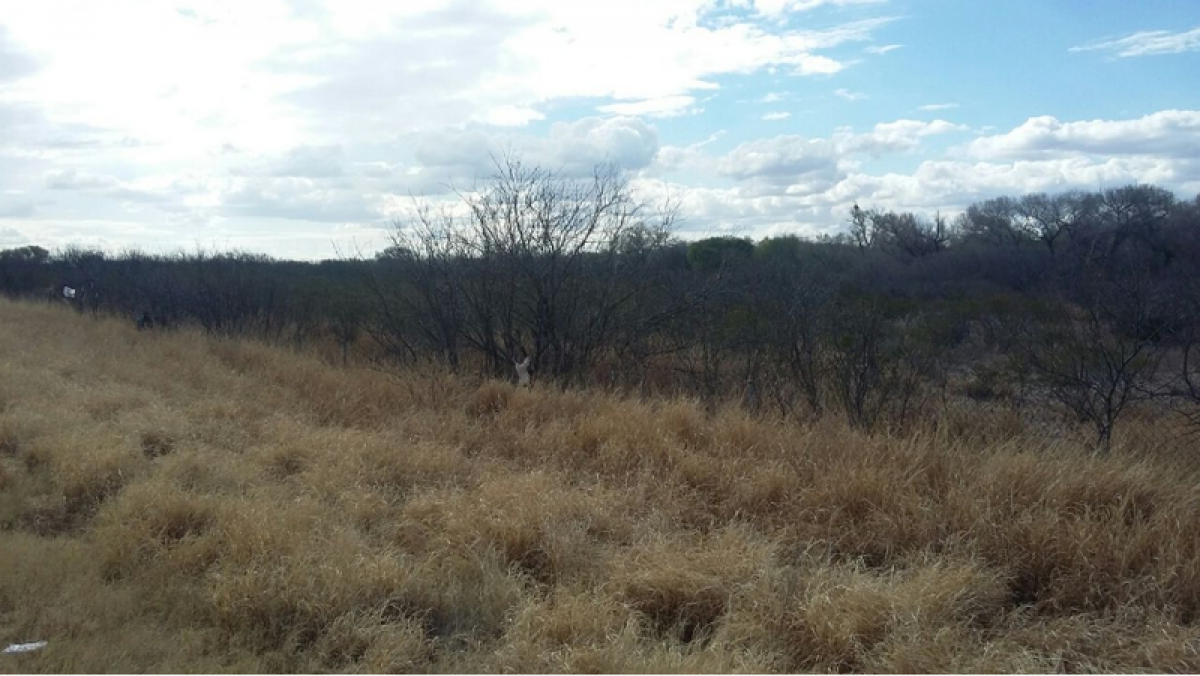 Picture of Development Site For Sale in Aldama, Chiapas, Mexico