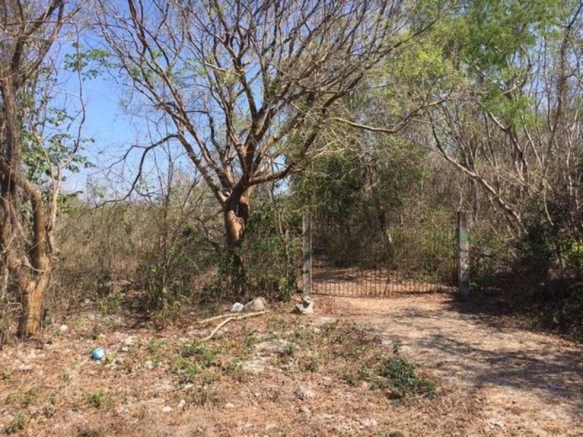 Picture of Development Site For Sale in Yucatan, Yucatan, Mexico